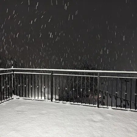 Pine & Wine Sauna * 팜포로보