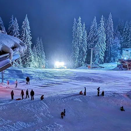 Pine & Wine Sauna Apartment Pamporovo