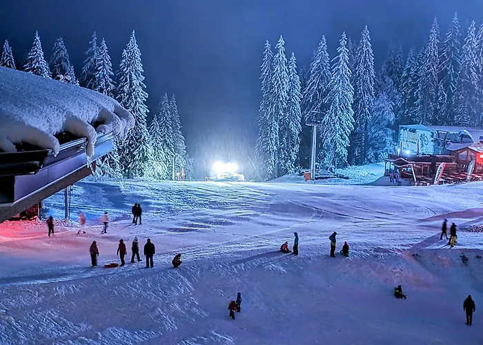 Pine & Wine Sauna Appartement Pamporovo